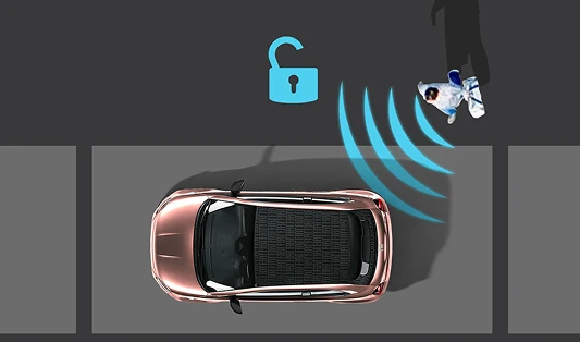 Passive Entry